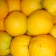 Dsc01924